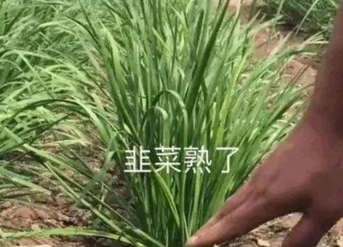 成本 60 元卖上千,明星割粉丝韭菜一个比一个狠