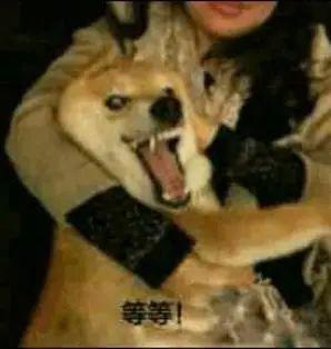 国产手机最烦人的限制，终于被彻底干掉了