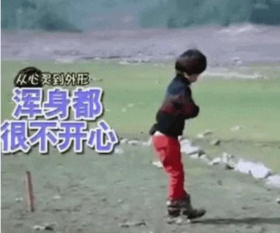 内娱明星，都来蹭小孩哥的热度了