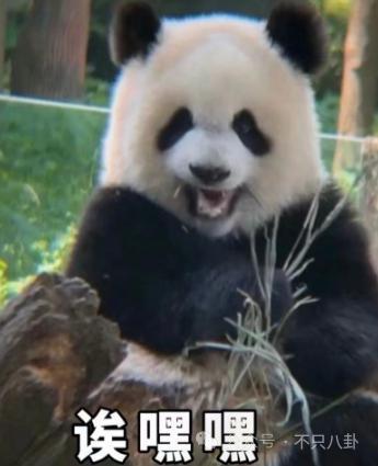 有女友还要立暗恋女星人设？他这是在干什么？