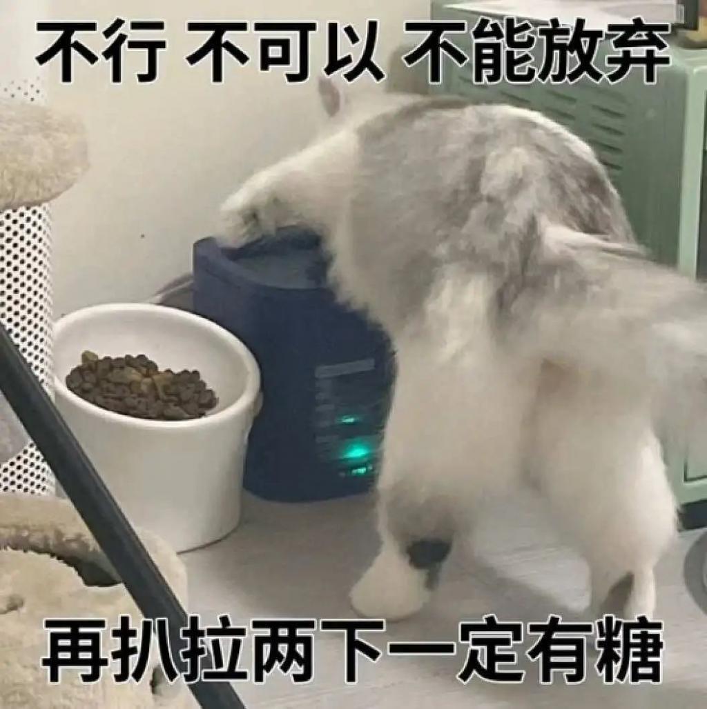 想分手直说啊，不用这么讨骂的…