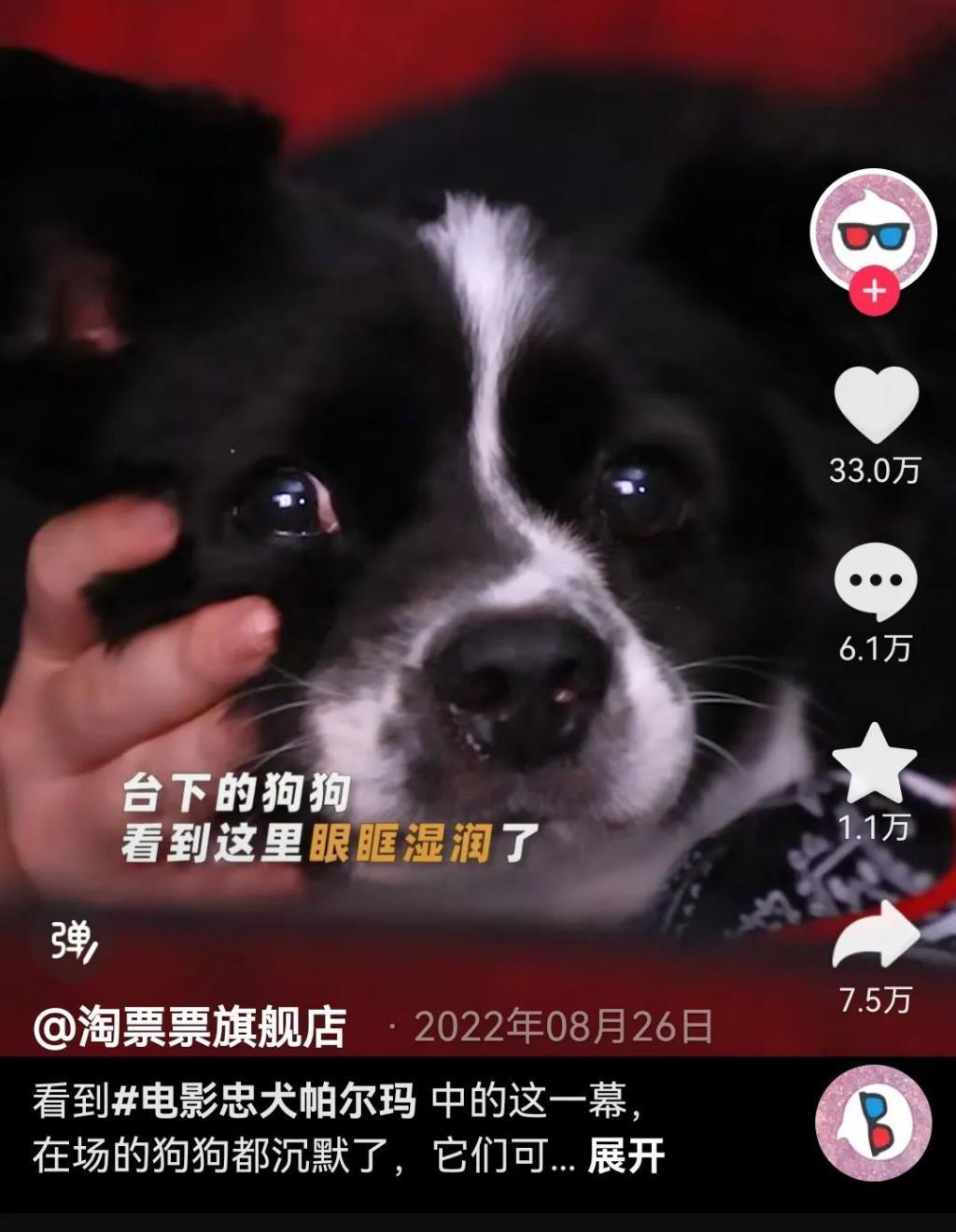 尴尬又滑稽，真的太难看了！