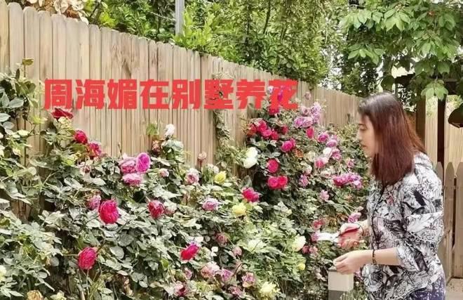 曝周海媚北京豪宅遭抛售，售价仅3000万，母亲紧急套现惹争议！