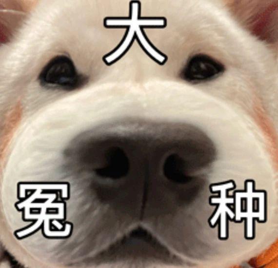 苹果赔款终于到账，正义虽迟但到！