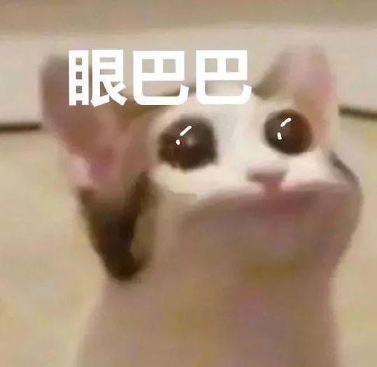 苹果赔款终于到账，正义虽迟但到！