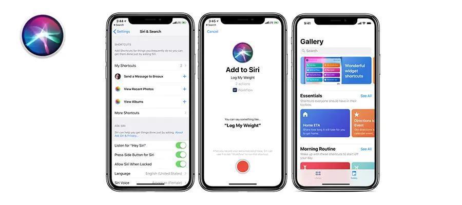 ChatGPT狂飙一年后，苹果终于忍不住了