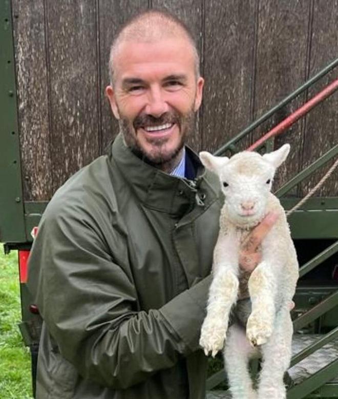 贝嫂素颜出镜翻车，疑眼皮提拉失败额头过度填充