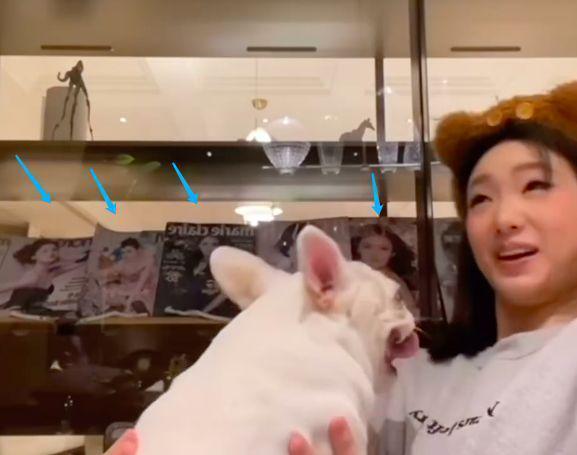 小S大女儿拍视频曝真容性格活泼 背景引发争议
