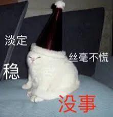 低端独显再无存在意义，AMD 新U内置一个“1060”