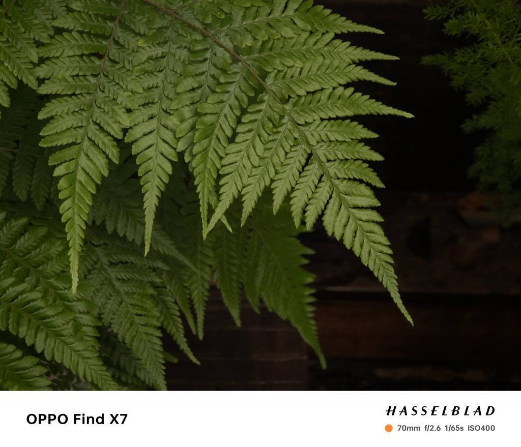 OPPO Find X7 首发体验：拥抱 AI 的全能旗舰，免费升杯比 Pro 更 Pro