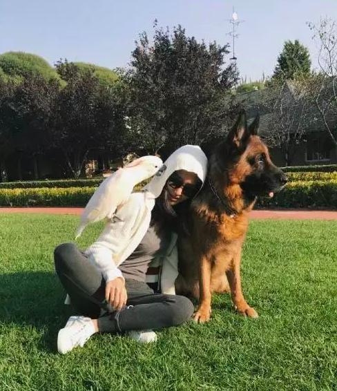 新欢曝光，她离婚了？