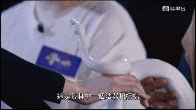 内地被禁题材，香港拍出花儿