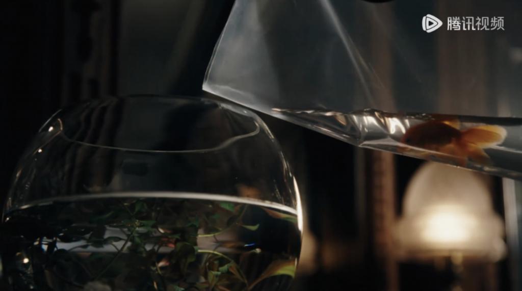 《繁花》里的男男女女都在“爱不得”