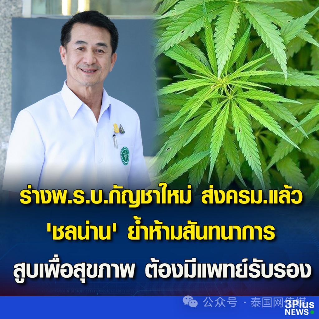 泰国将允许同性代孕！封杀大麻！踏平电诈！赛塔又发大招了！