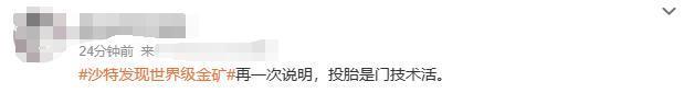 又发现巨型金矿！沙特都富成啥样了.