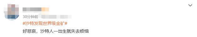 又发现巨型金矿！沙特都富成啥样了.