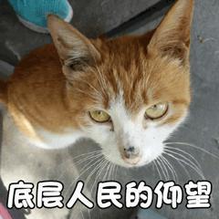 又发现巨型金矿！沙特都富成啥样了.