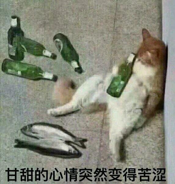 3999 元的新机，竟敢自己“封神”？
