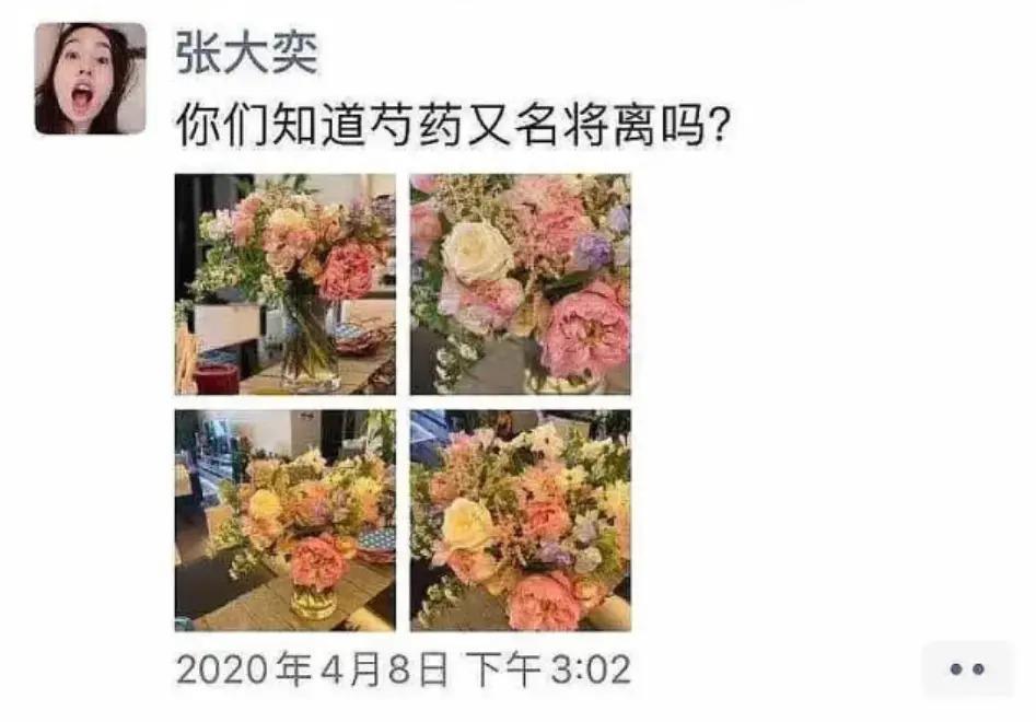 公开结婚，已怀孕四个月，偷情事件洗白了？
