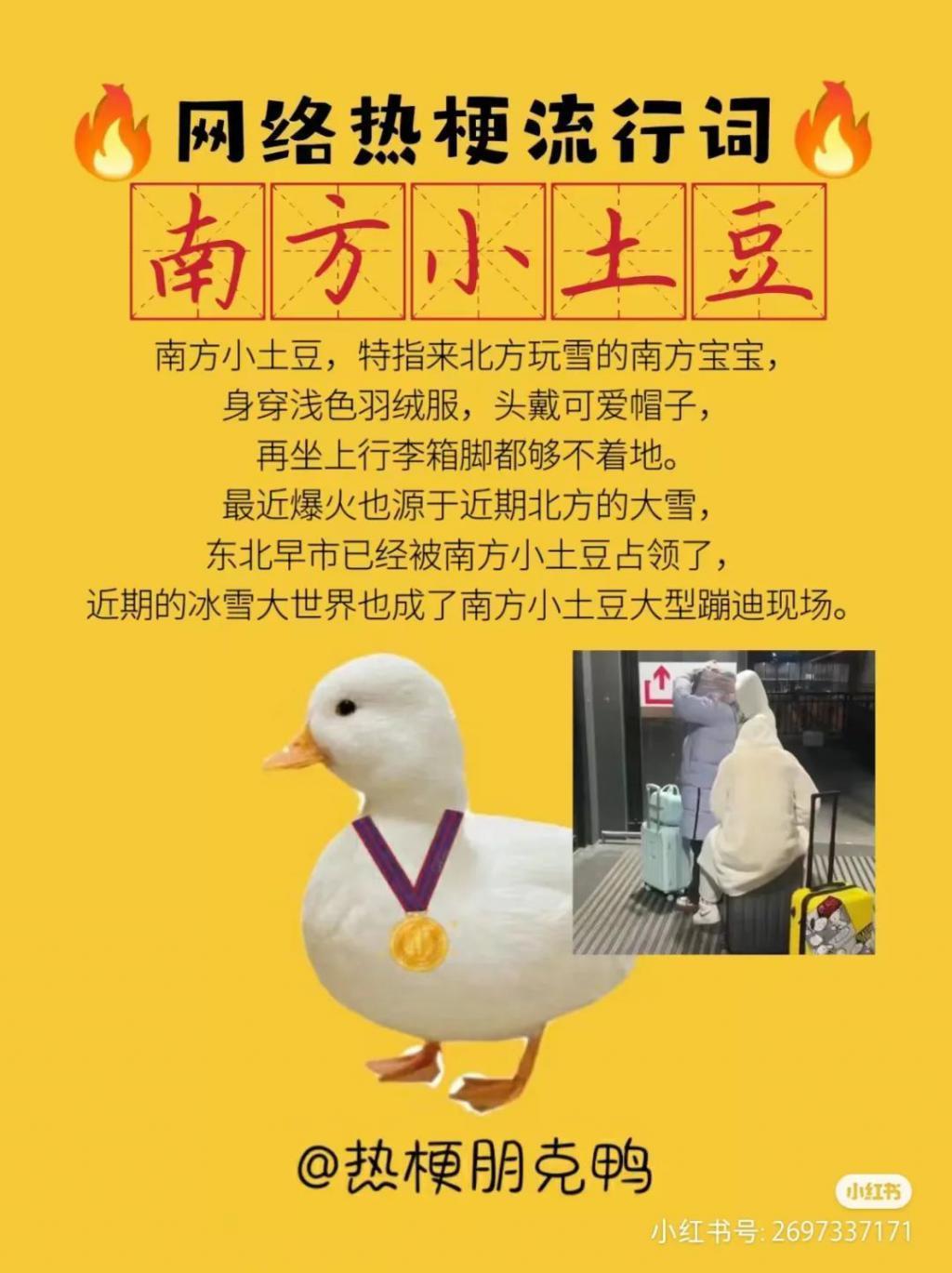 “小土豆”也成娇妻文学里的一环了？