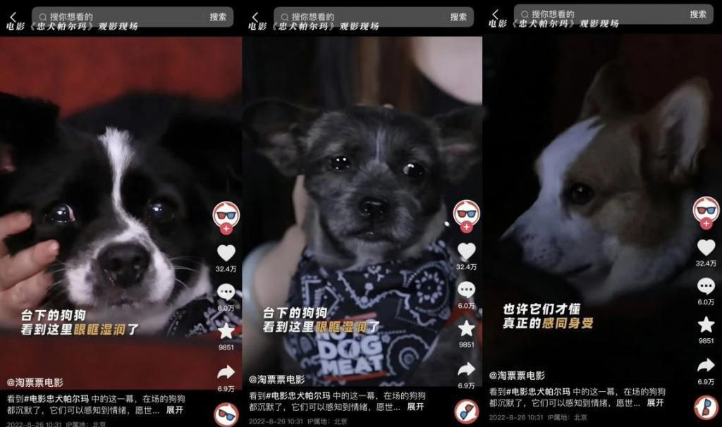 国产片短视频营销，比缅北诈骗还狠！