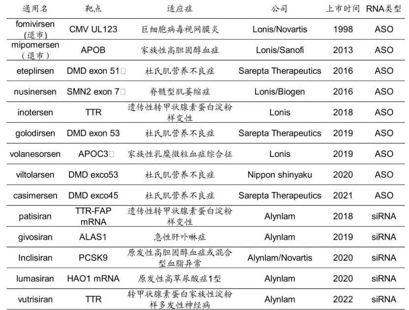 小核酸药物：二次进化