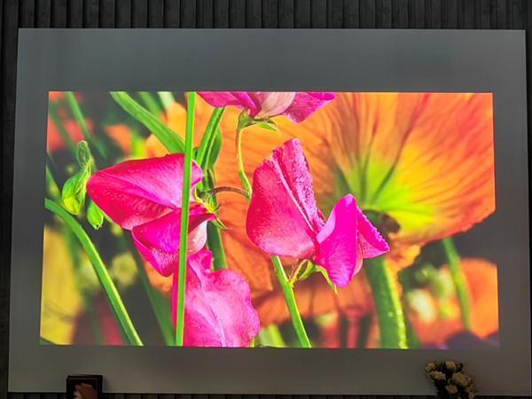 当贝投影大举进军海外:填补一大空白、2500亮度无敌