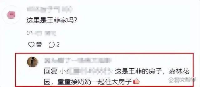 王菲为窦唯母亲养老？窦靖童晒视频与奶奶同框，住王菲豪宅