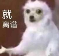 这恩爱不秀也罢