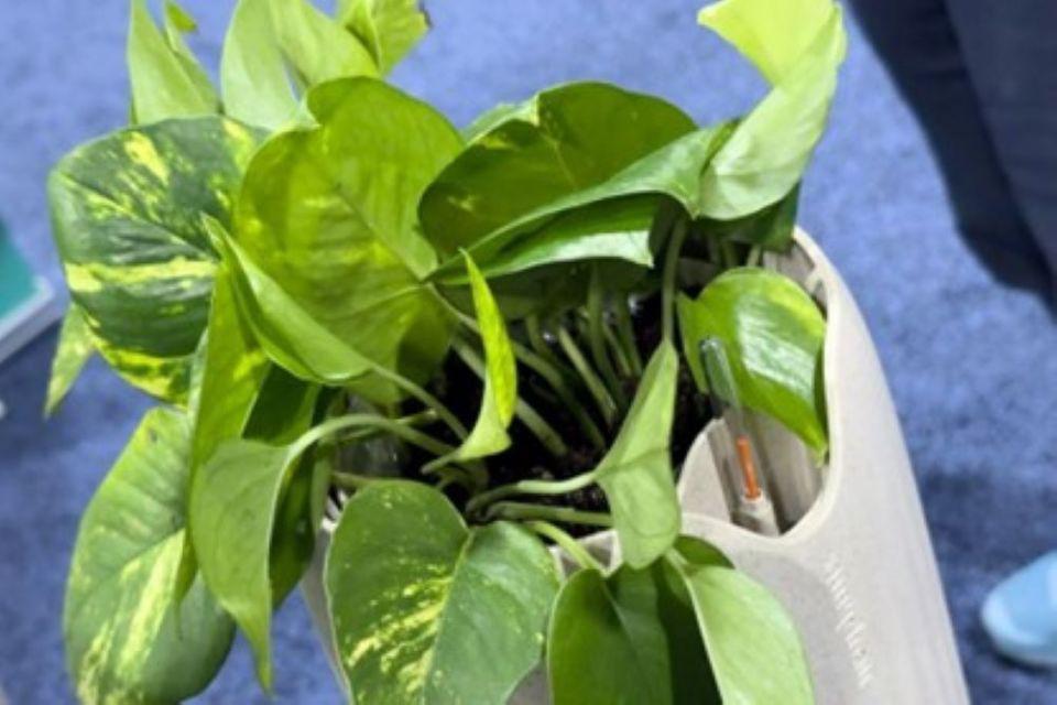 CES 2024：19万美元电动直升机、家庭机器人助理、AI烤面包机大盘点