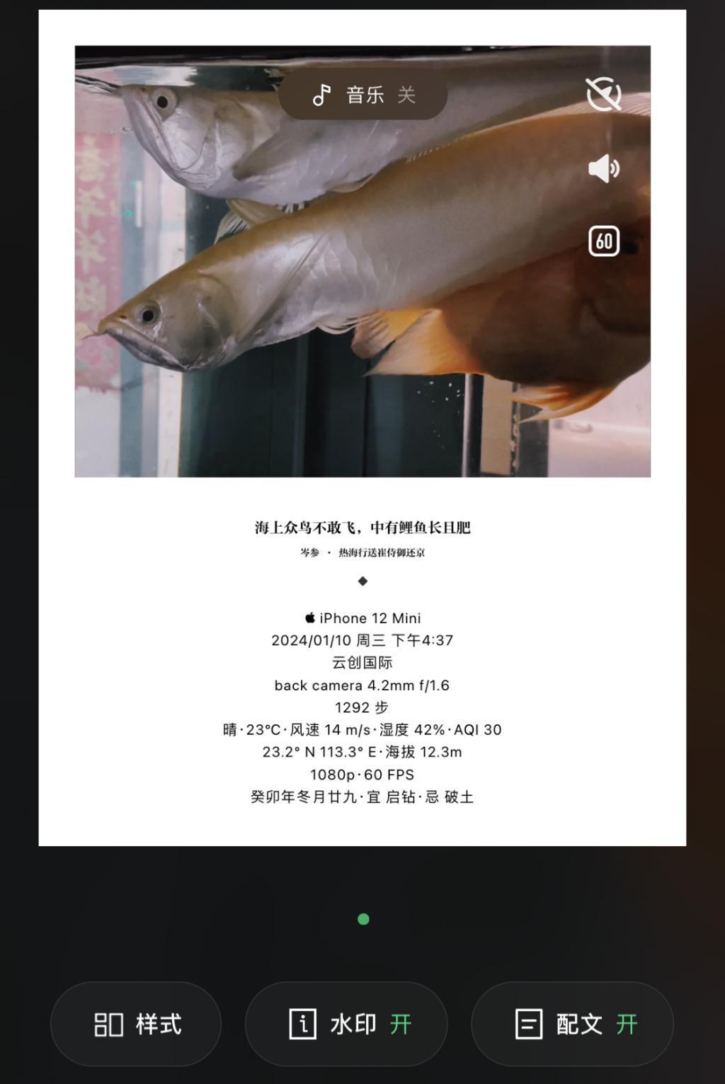 这个 60MB 大小的 App ！让 iPhone 的拍照原地起飞