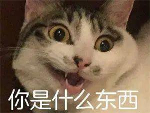 网易云突然更新，结果把全国网友惹怒了