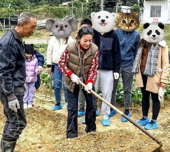 甘比打扮潮流去做义工！化浓妆戴墨镜耕田挖萝