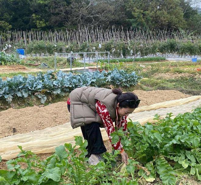 甘比打扮潮流去做义工！化浓妆戴墨镜耕田挖萝