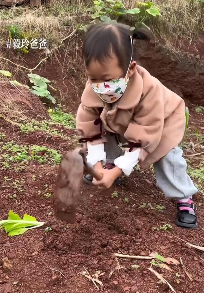 毅玲爸爸开播获1.2亿赞，拒绝300万捐助，为病友家庭撑伞