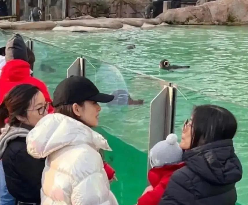 生下二胎，她资产直接冲到600亿？