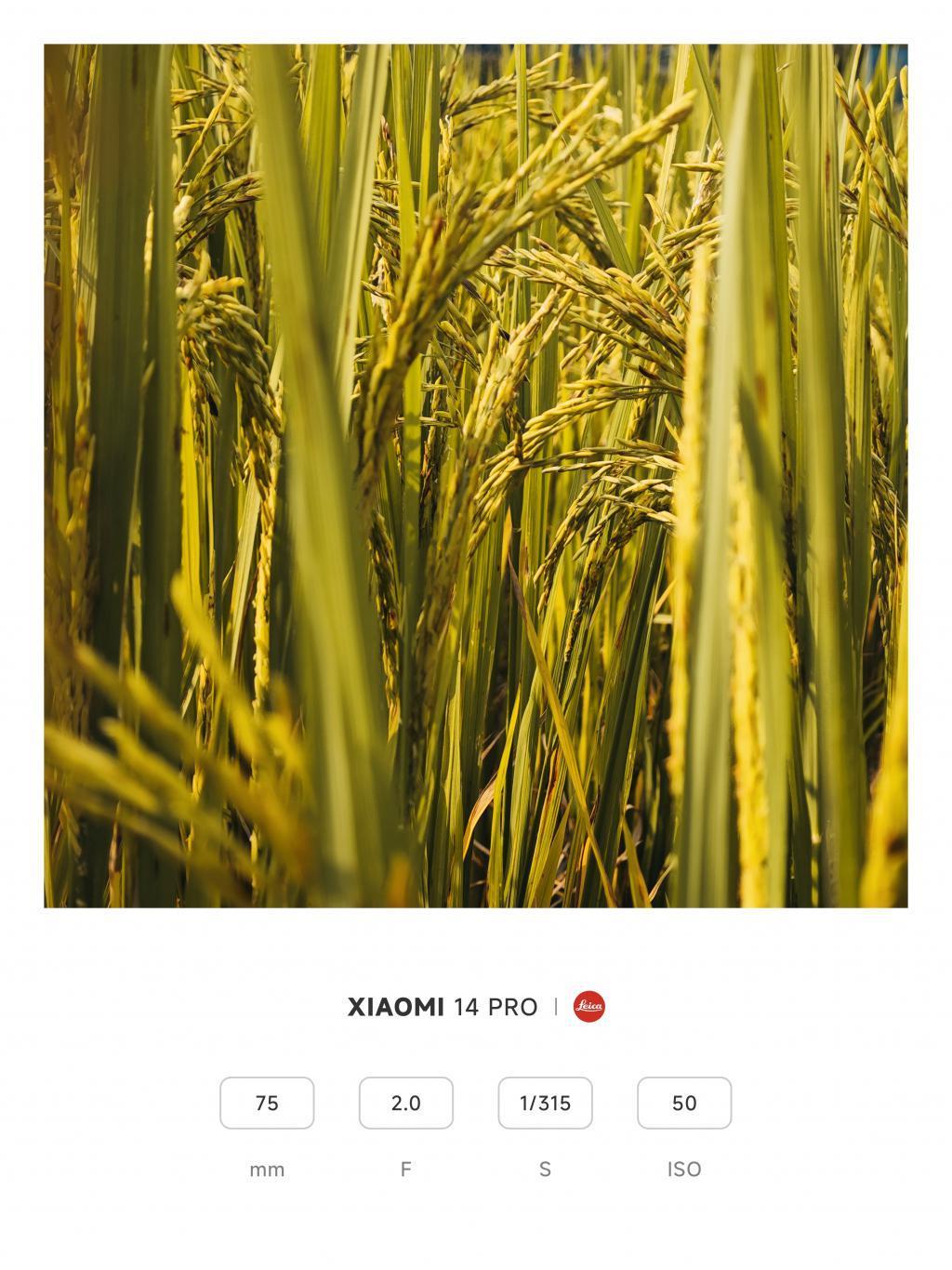 手机影像2023年度总结：硬件不再是第一追求，算法成新战场