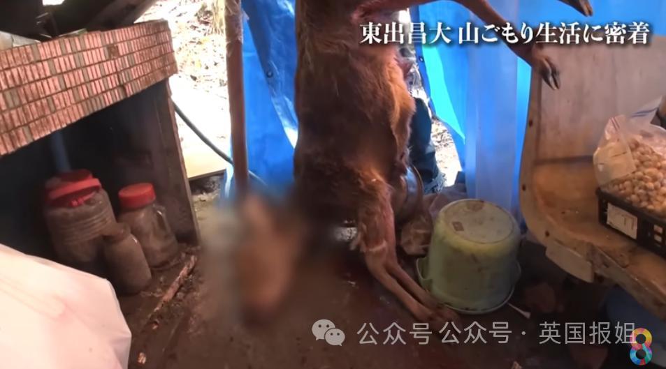 日本顶级渣男被曝和3女星山林同居，深山开“后宫”！