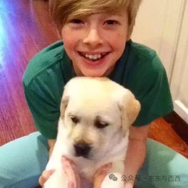 美神降临红毯，艳压所有女星，谁能想到几年前她是个男生……