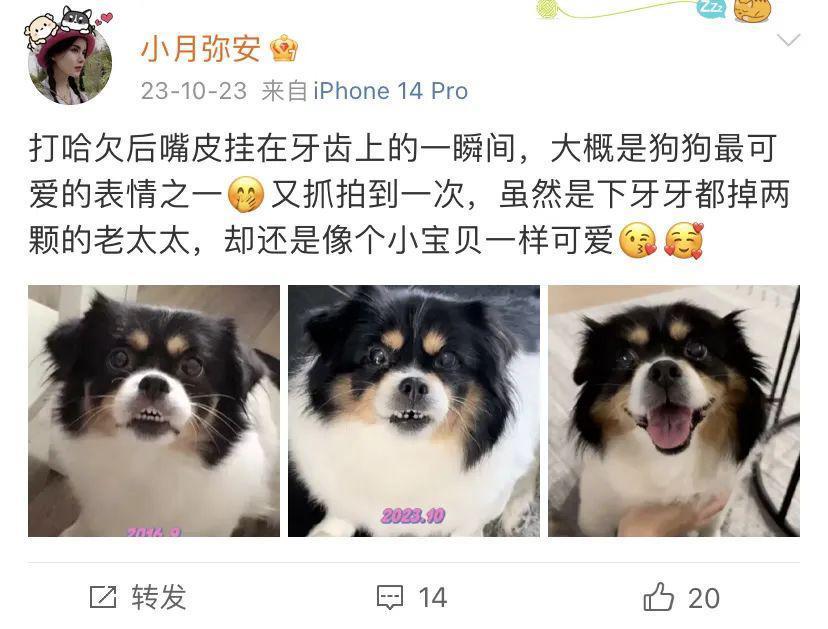 内娱第一beta恋爱了？？网友：他的人夫感太强了