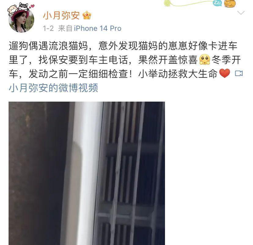 内娱第一beta恋爱了？？网友：他的人夫感太强了