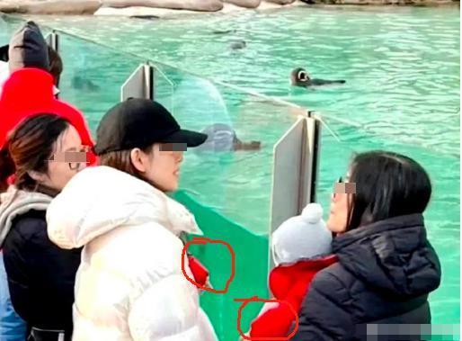 章泽天登上富豪榜！生二胎，做投资，30岁身家600亿