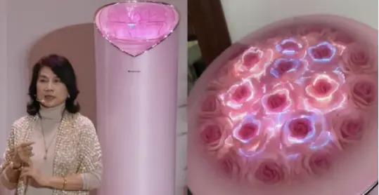 陌生人董明珠：从电池、预制菜到玫瑰空调