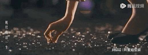 胡歌加盟繁花女子图鉴，女性魅力倍增