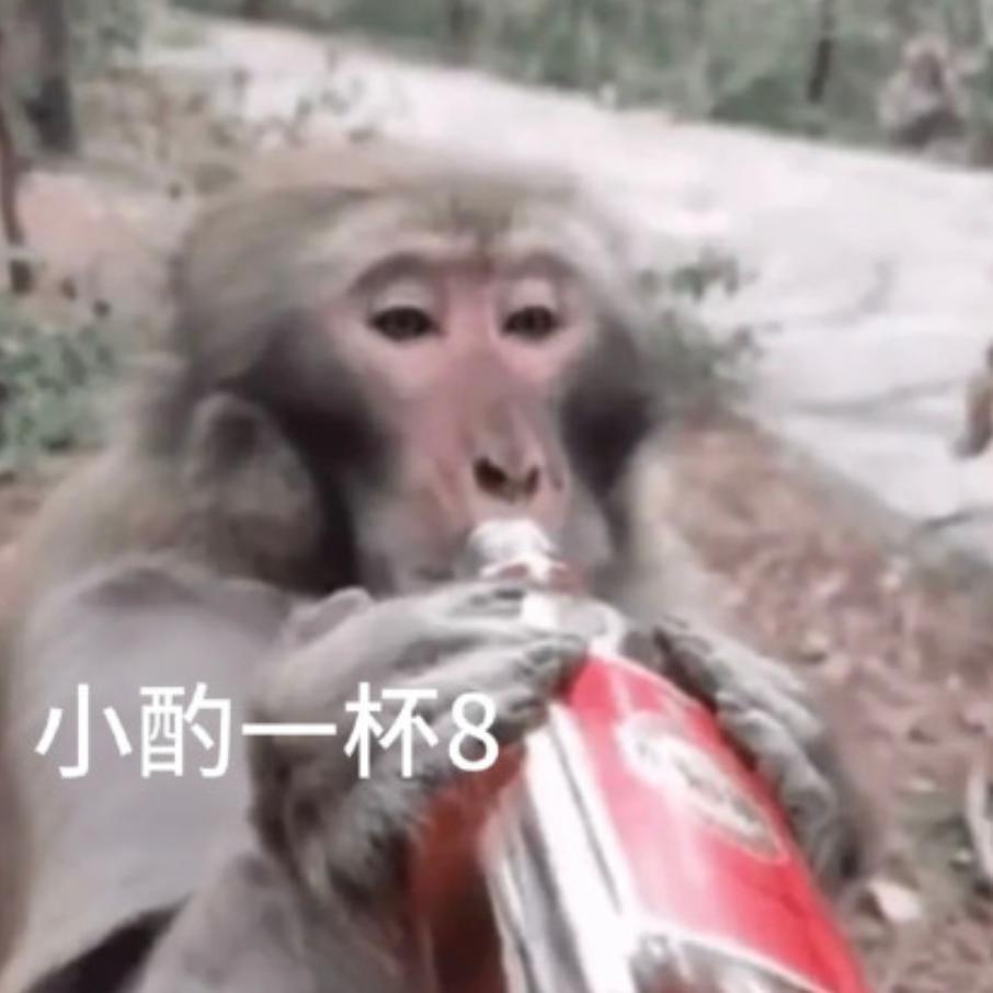 离谱，刚发布这512GB新机，一定是来捣乱的