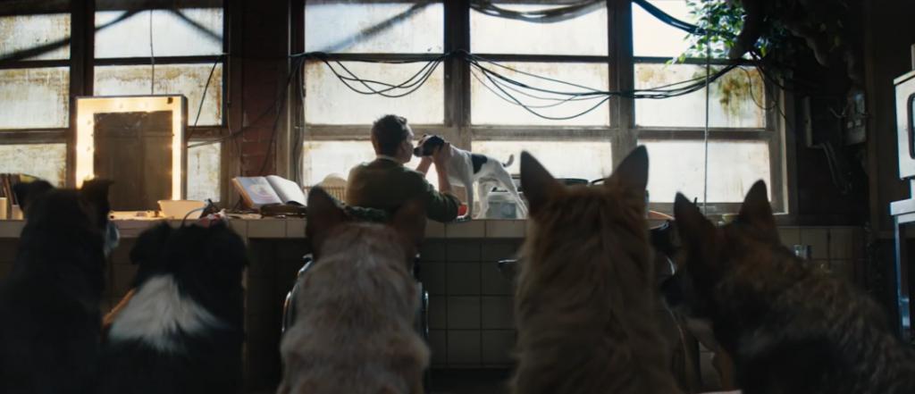 能在内地院线上映，这部年度最佳太猛了