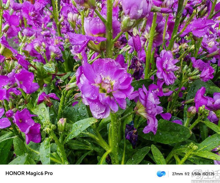 荣耀Magic6 Pro评测：设计有档次、堆料更极致