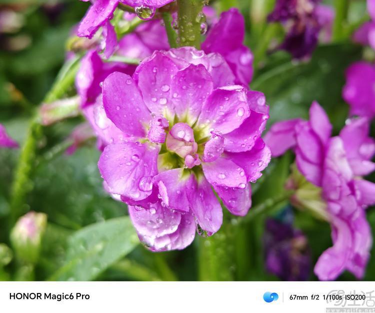 荣耀Magic6 Pro评测：设计有档次、堆料更极致