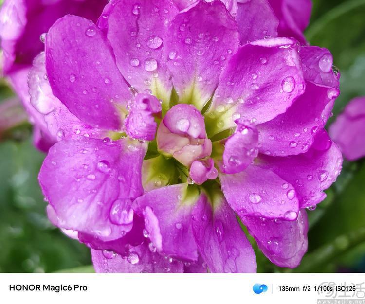 荣耀Magic6 Pro评测：设计有档次、堆料更极致