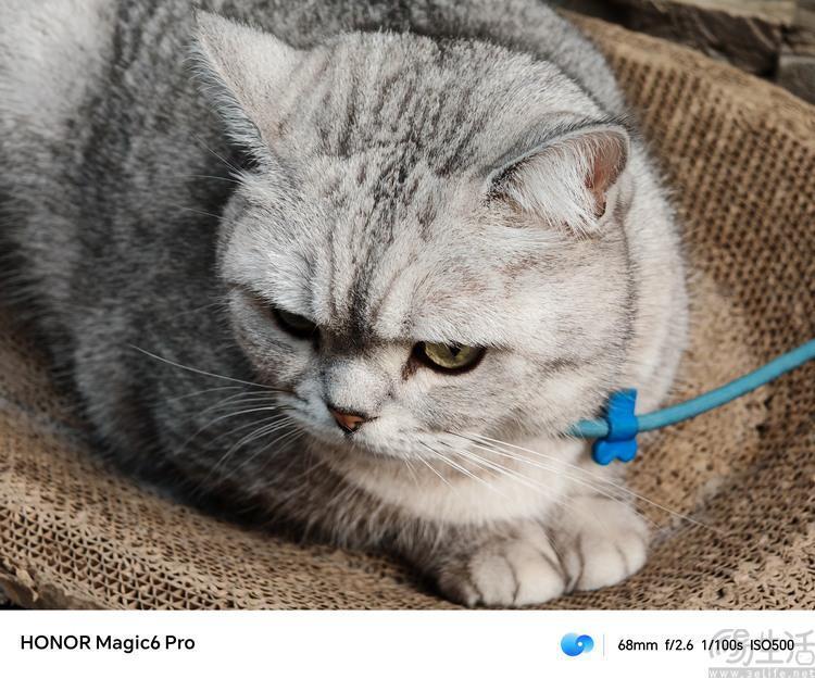 荣耀Magic6 Pro评测：设计有档次、堆料更极致